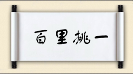 百里挑一