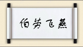 伯劳飞燕