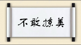 不敢掠美
